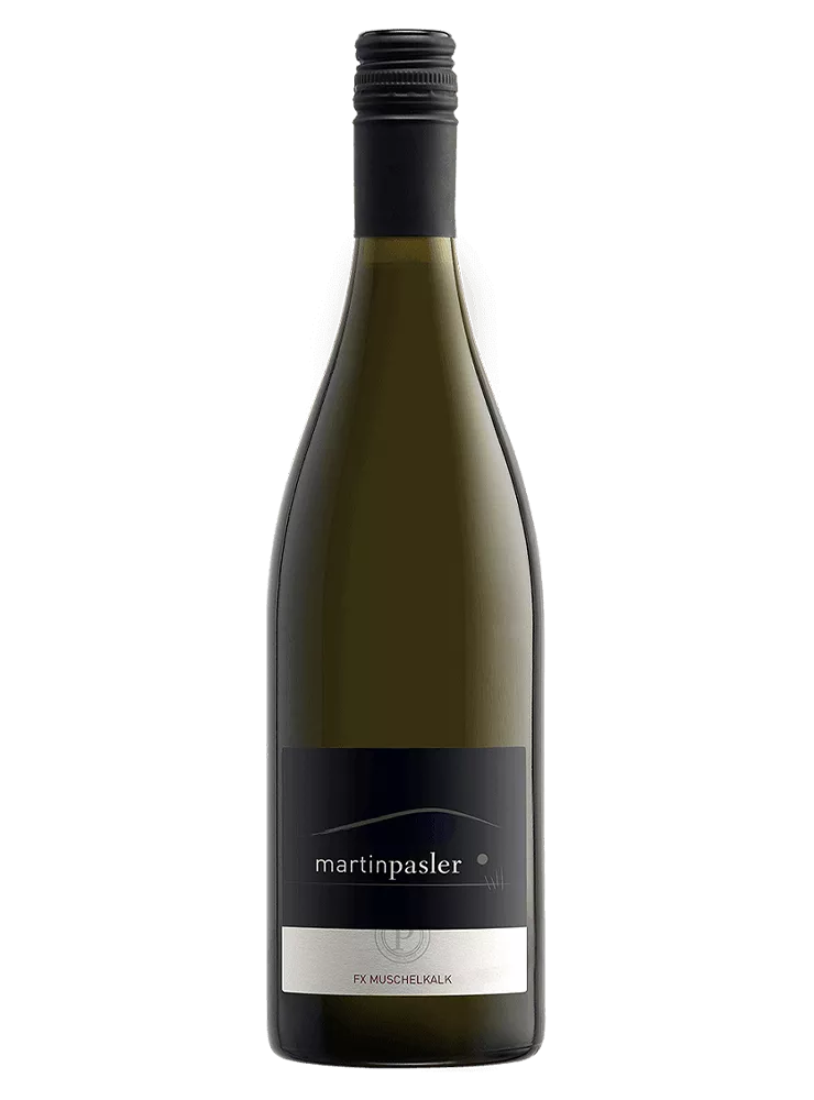 Martin Pasler Muschelkalk