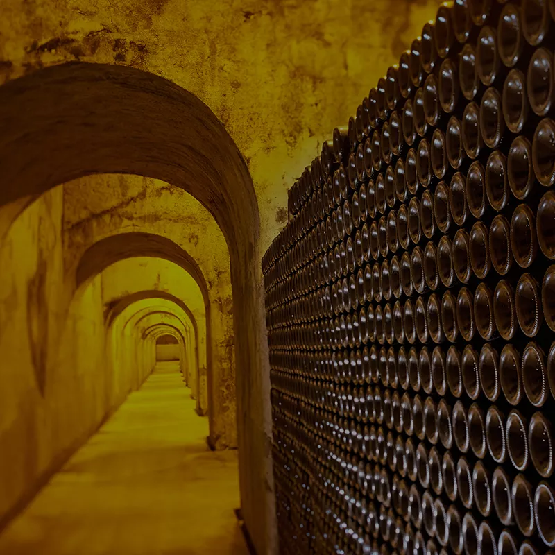 vinum-by-hedone-tipo-vino-1