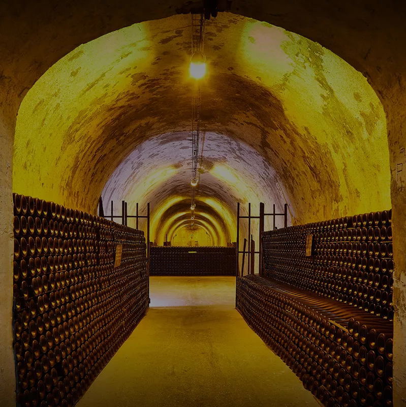 vinum-by-hedone-tipo-vino-2