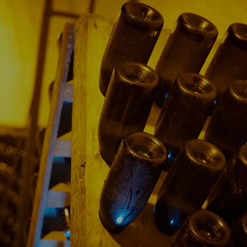 vinum-by-hedone-tipo-vino-3