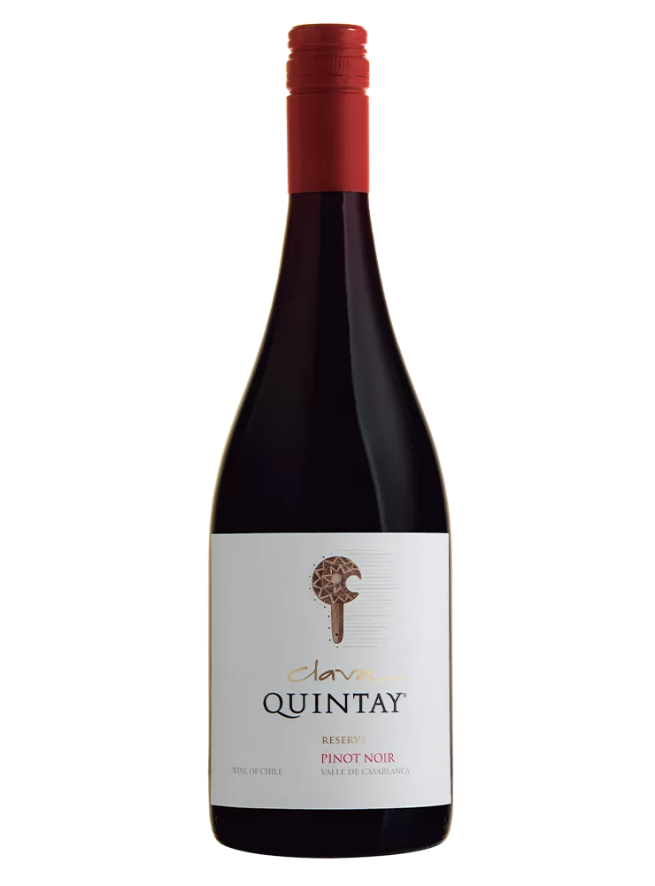 Clava Quintay Pinot Noir Reserva